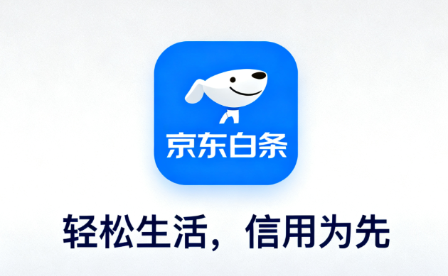 如何确保在支持白条支付的店铺购物的安全性？